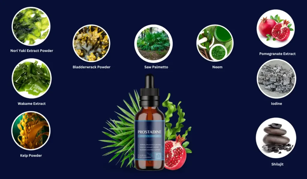 Prostadine Ingredients